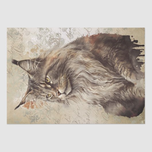 Maine Coon Cat Watercolor Seidenpapier (Vorderseite)