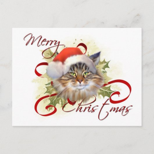 Maine Coon Cat Weihnachtspostkarte Feiertagspostkarte (Vorderseite)