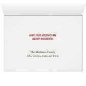 Maine Coon Cat Wicker Basket Weihnachtsbaum (Innenansicht Horizontal (Unten))