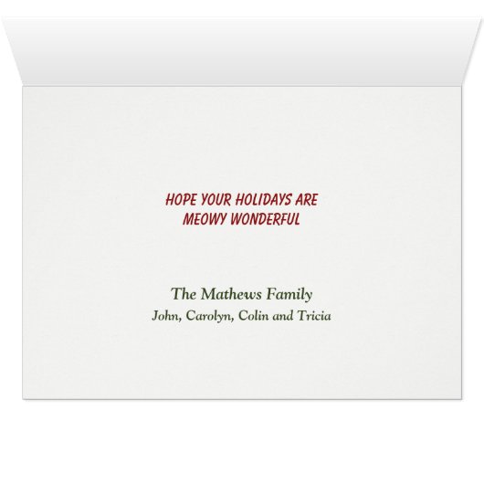 Maine Coon Cat Wicker Basket Weihnachtsbaum (Innenansicht Horizontal (Unten))