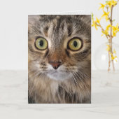 Maine Coon Cat zum Geburtstag Karte (Gelbe Blume)