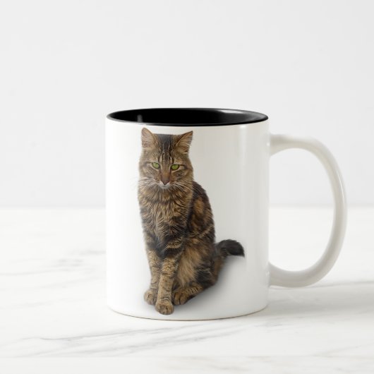 Maine Coon Cat Zweifarbige Tasse (Rechts)