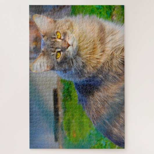 Maine Coon Cats. Jigsaw Puzzle (Vertikal)