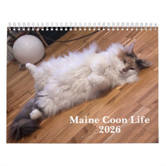 Maine Coon Cats | Main Coon Life Kalender