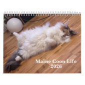 Maine Coon Cats | Main Coon Life Kalender (Titelbild)