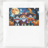 Maine Coon Cats Pumpkin Halloween Funny Rechteckiger Aufkleber (Tasche)
