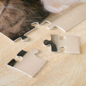 Maine Coon Cats Puzzle (Seite)