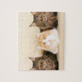 Maine Coon Cats Puzzle (Vertikal)