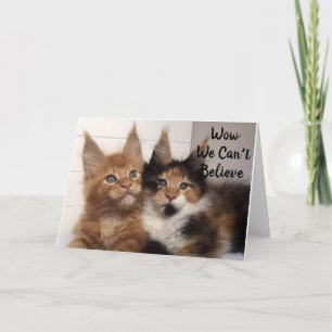 MAINE COON CATS SAGEN **40?** SIE? GEBURTSTAG KARTE