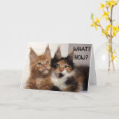 MAINE COON CATS SAGEN **60?** SIE? BIRTHDAY CARD KARTE (Gelbe Blume)