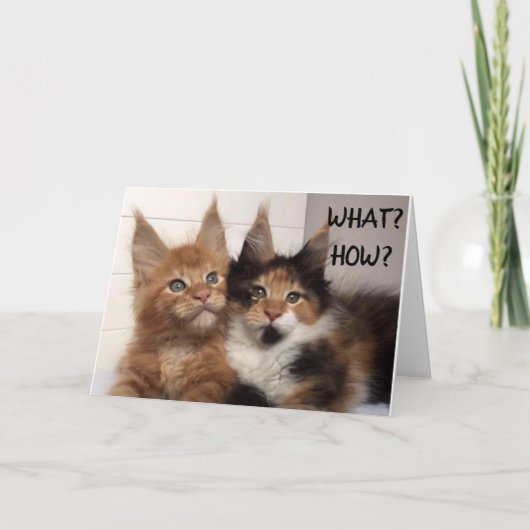 MAINE COON CATS SAGEN **60?** SIE? BIRTHDAY CARD KARTE (Vorderseite)