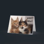 MAINE COON CATS SAY **30?** YOU? BIRTHDAY CARD KARTE<br><div class="desc">THESE TWO MAINE COON CATS ARE CUTE SO THEY ARE ON FEW OF MY CARDS HERE AT OverWhatHill WITH DIFFERENT verses and of COURSE BUT YOU CAN CHANGE THE AGE IN SECOND OR ANYTHING ON MY CARDS IF YOU WISH. THANKS FOR STOPPING BY ONE OF MY NINE STORES!!!</div>