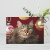 Maine Coon Christmas Cat Feiertagskarte (Stehend Vorderseite)
