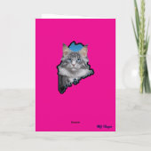Maine Coon Cone Faltkarte Karte (Rückseite)