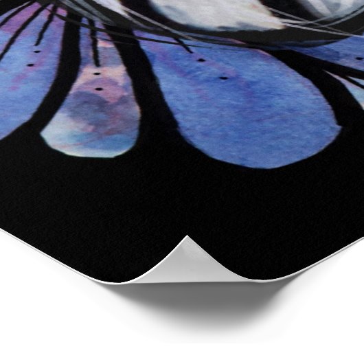 Maine Coon Dilute Calico Cat Lila Daisy Poster (Ecke)