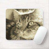 Maine Coon Face 2 Mousepad (Mit Mouse)
