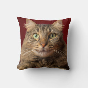 Maine Coon für Weihnachten mit Sammler Kissen