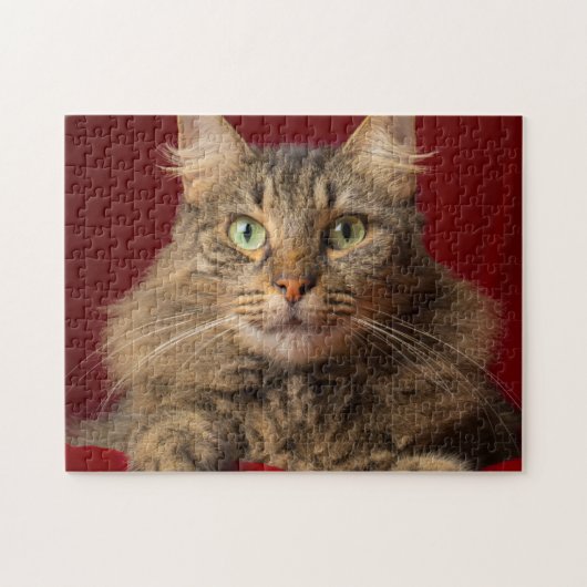 Maine Coon für Weihnachten mit Sammler Puzzle (Horizontal)
