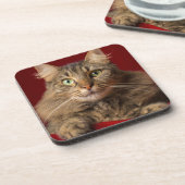 Maine Coon für Weihnachten mit Sammler Untersetzer (Linke Seite)