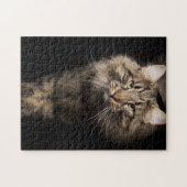 Maine Coon Großkatze Puzzle (Horizontal)
