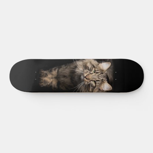 Maine Coon Großkatze Skateboard (Horizontal)