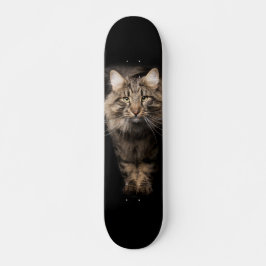 Maine Coon Großkatze Skateboard