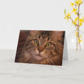 Maine Coon Grußkarte Karte (Gelbe Blume)