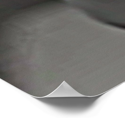 Maine Coon in einem schwarzen Anzug und einer schw Poster (Ecke)