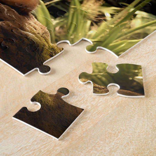 Maine Coon in Nature. Puzzle (Seite)