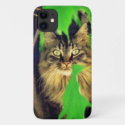 Maine Coon in Tree Case-Mate iPhone Hülle (Rückseite)