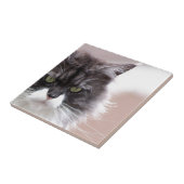 Maine Coon Katze Fliese (Seite)