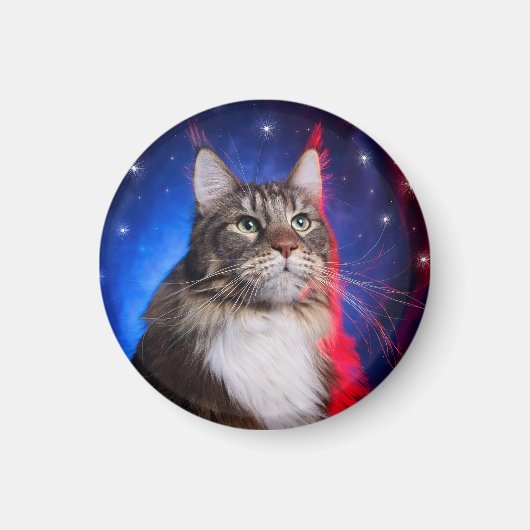 Maine-Coon-Katze mit rot-weißer Aura und Sternen Magnet (Vorne)