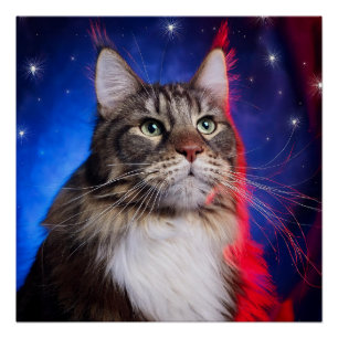 Maine-Coon-Katze mit rot-weißer Aura und Sternen Poster