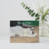 Maine Coon Katze schlafend Postkarte (Stehend Vorderseite)