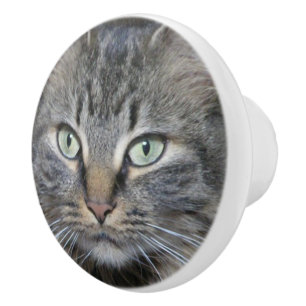 Maine Coon Katzen Augen Keramikknauf