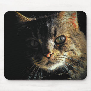Maine Coon Katzen Gesicht Mousepad