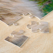 Maine Coon Katzen. Puzzle (Seite)