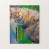 Maine Coon Katzen. Puzzle (Vertikal)