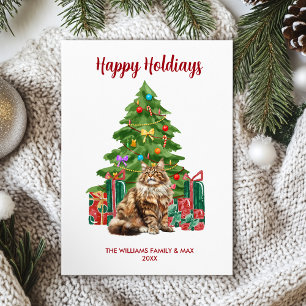 Maine Coon Katzenfamilie Weihnachten