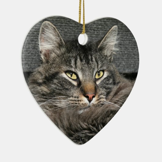 Maine Coon Katzengesicht Keramik Ornament (Rechts)