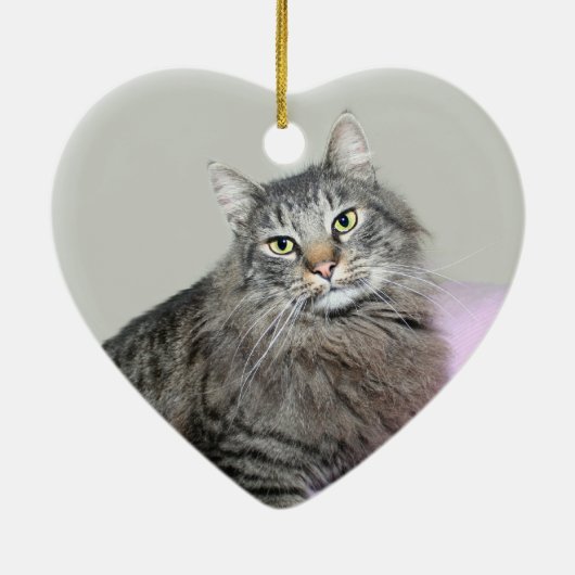 Maine Coon Katzengesicht Keramik Ornament (Hinten)