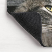 Maine Coon Katzengesicht Mousepad (Ecke)