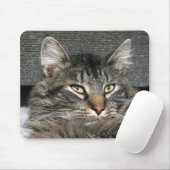 Maine Coon Katzengesicht Mousepad (Mit Mouse)