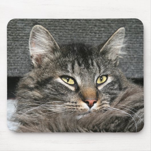 Maine Coon Katzengesicht Mousepad (Vorne)