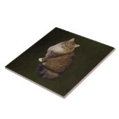 Maine Coon Katzenporträt Fliese (Seite)