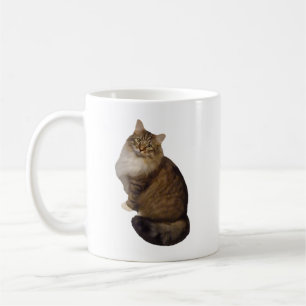 Maine Coon Katzenporträt Kaffeetasse