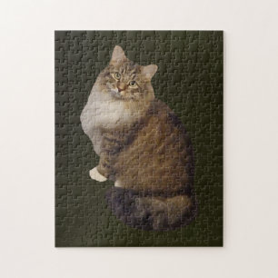 Maine Coon Katzenporträt Puzzle