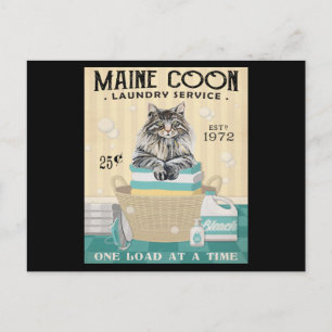 Maine Coon Katzenwäscherei 2 Postkarte