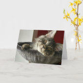 Maine Coon Kitten Geburtstagskarte Karte (Gelbe Blume)
