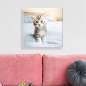 Maine Coon Kitten Leinwanddruck (Insitu (Wohnzimmer))
